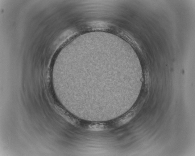 X0000085820362200704132018