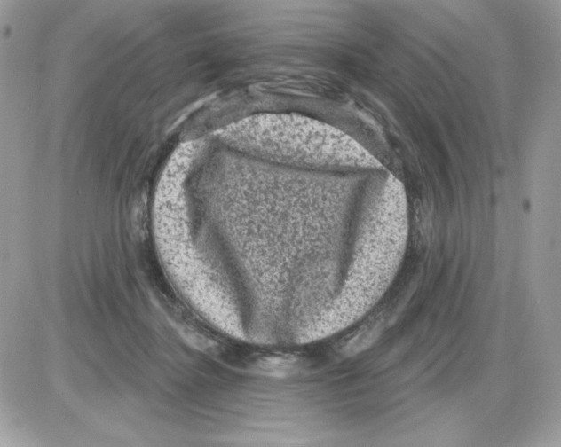 X0000085820364200704132018