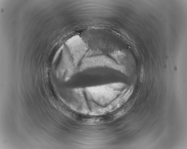 X0000085820366200704132018