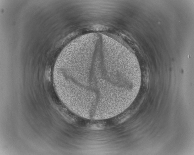 X0000085820368200704132018