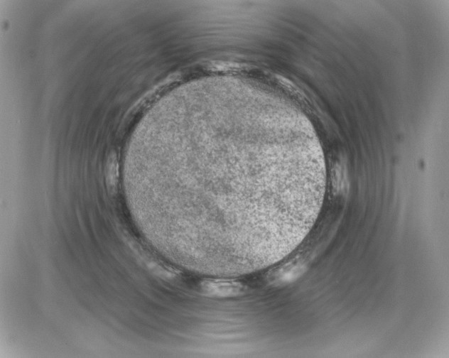X0000085820372200704132018