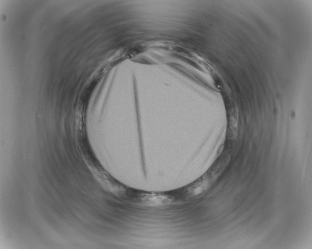 X0000085820379200704132018
