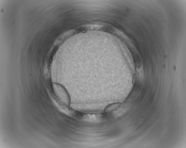 X0000085820381200704132018
