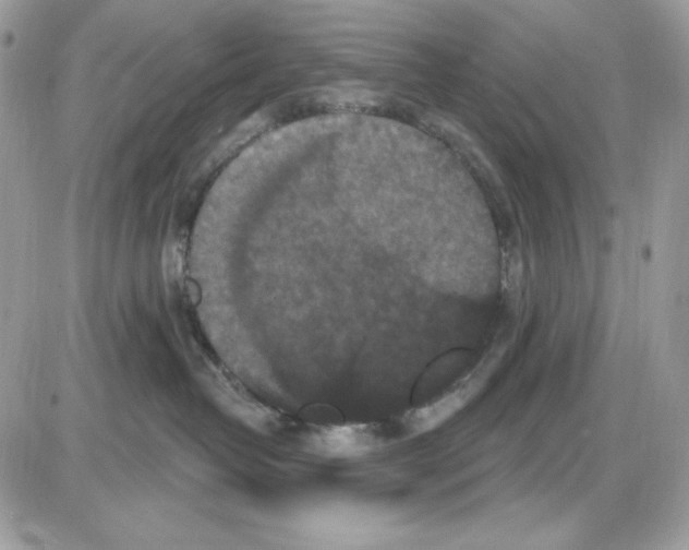 X0000085820382200704132018