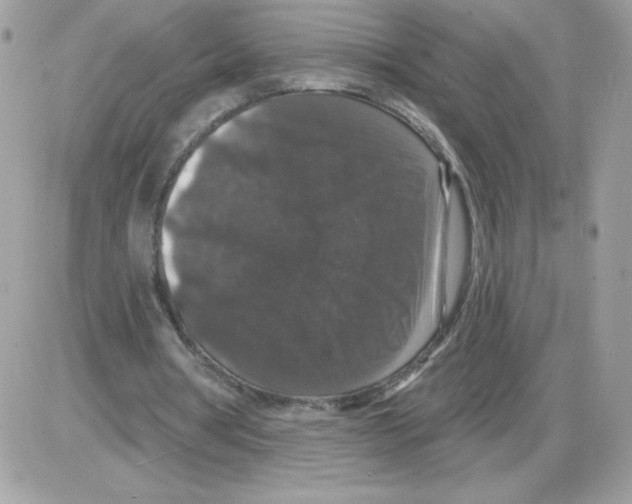 X0000085820386200704132017