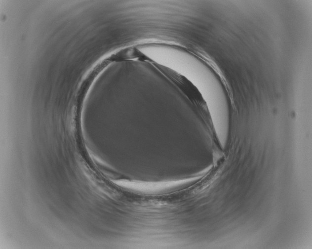 X0000085820387200704132017