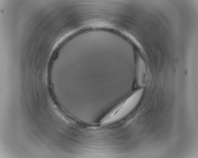 X0000085820391200704132017