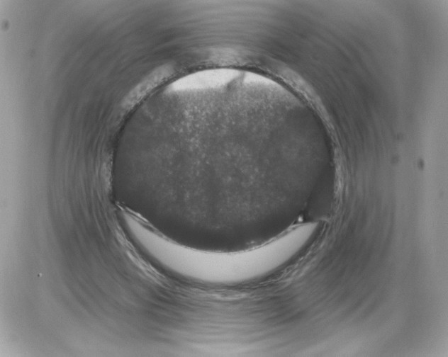 X0000085820393200704132017
