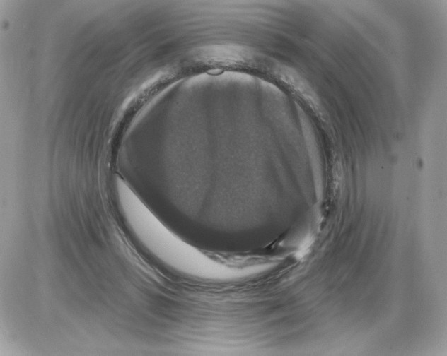 X0000085820399200704132017
