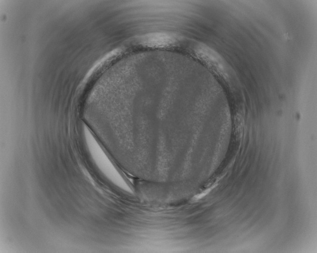X0000085820400200704132017