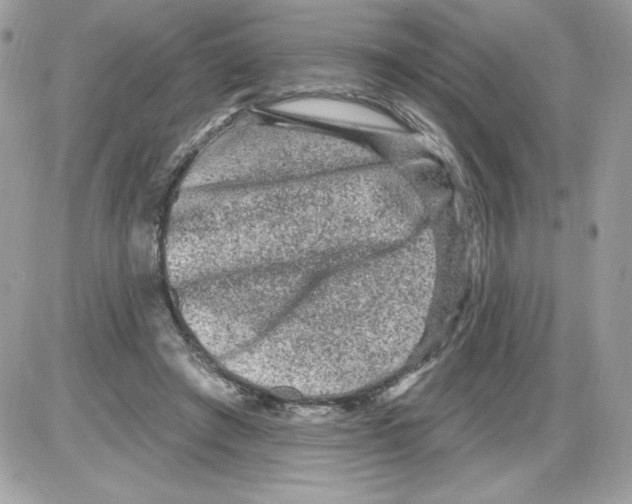 X0000085820401200704132017