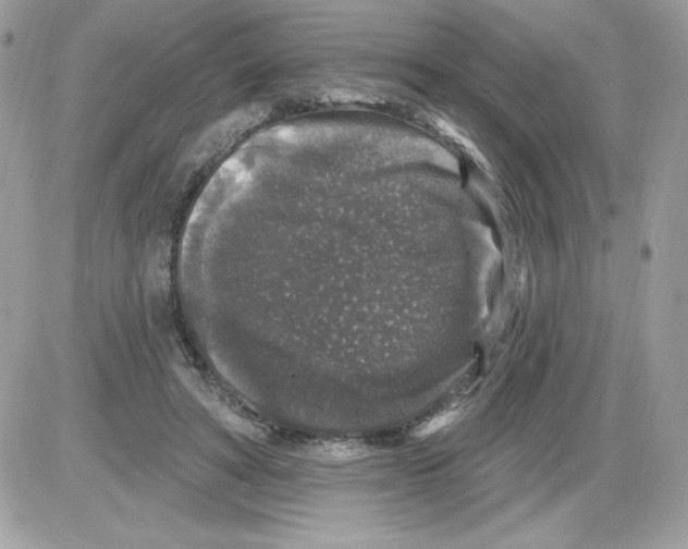 X0000085820402200704132017