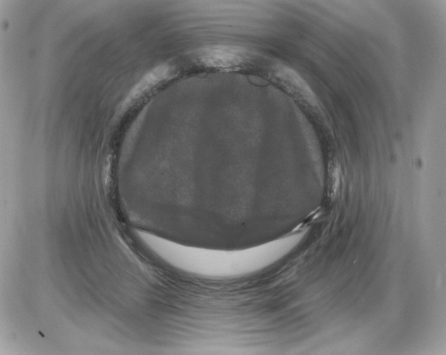 X0000085820404200704132017