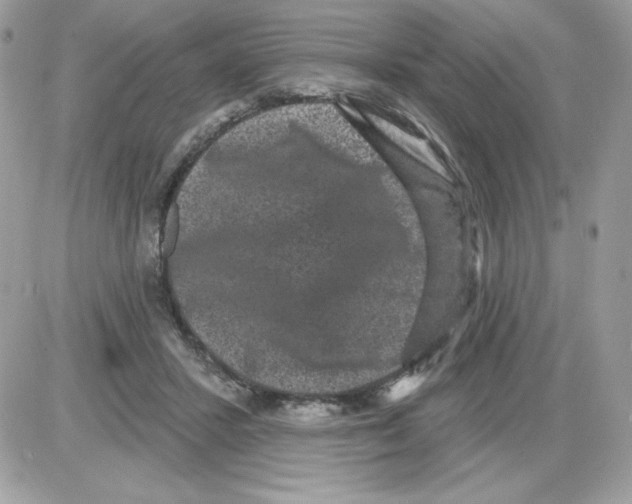 X0000085820407200704132017