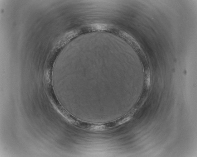 X0000085820410200704132017