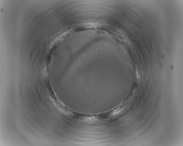 X0000085820411200704132017