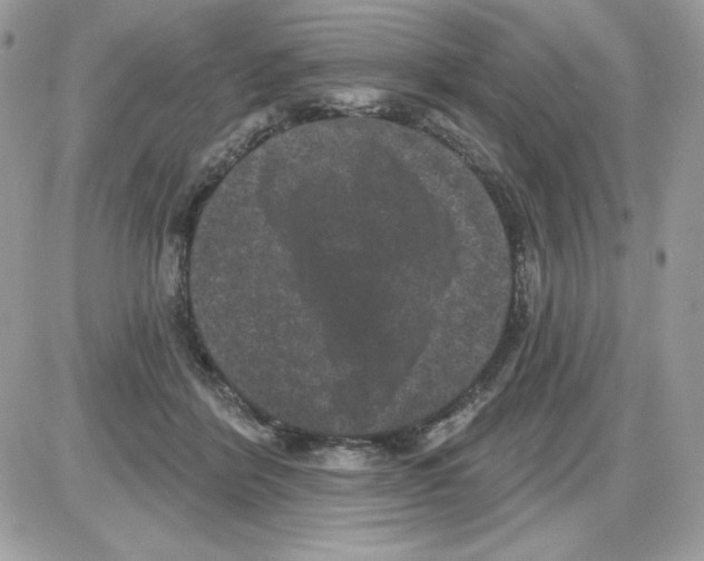 X0000085820412200704132017