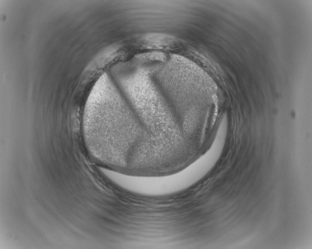 X0000085820413200704132017