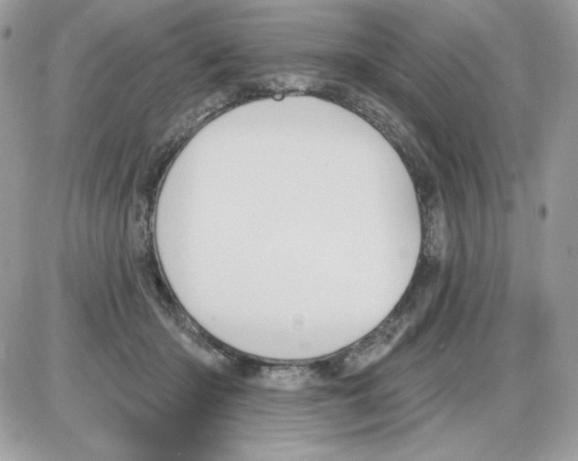 X0000085820414200704132017