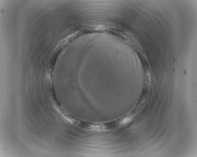 X0000085820415200704132017