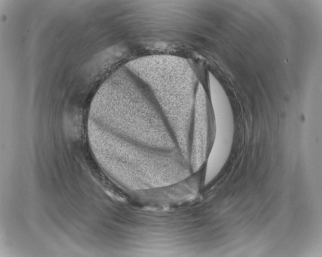 X0000085820416200704132017