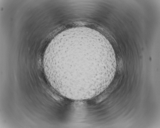 X0000085820418200704132017