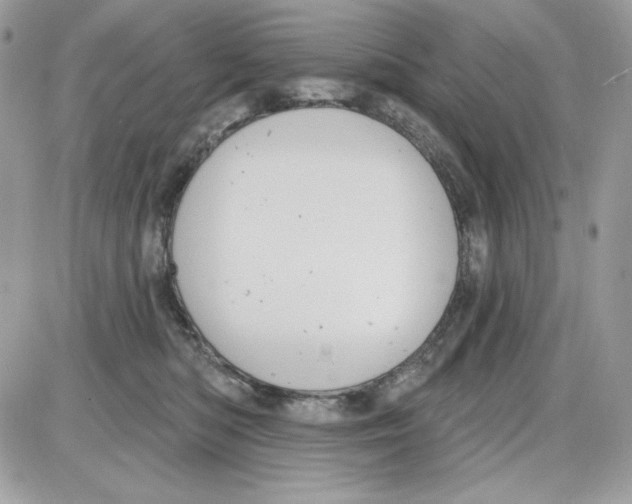 X0000085820422200704132017