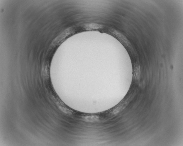 X0000085820426200704132017