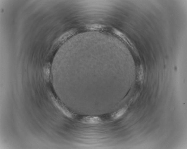 X0000085820427200704132017