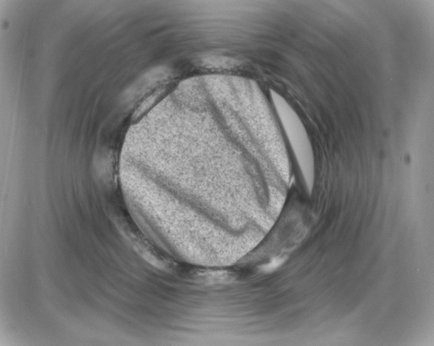 X0000085820428200704132017