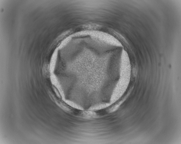 X0000085820429200704132017