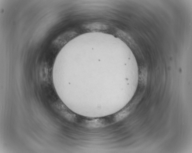 X0000085820430200704132017