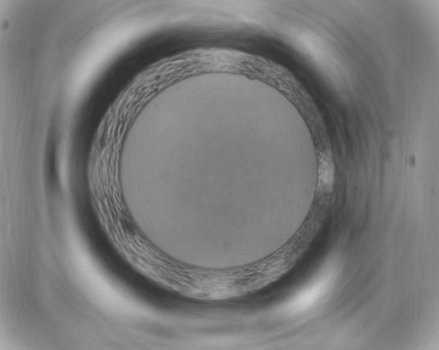 X0000085820431200704132017