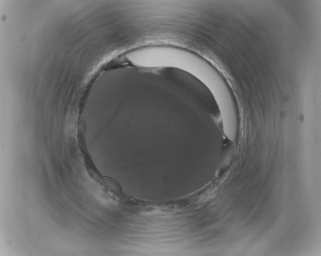X0000085820434200704132016