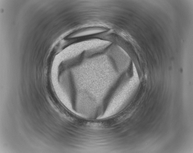 X0000085820440200704132016