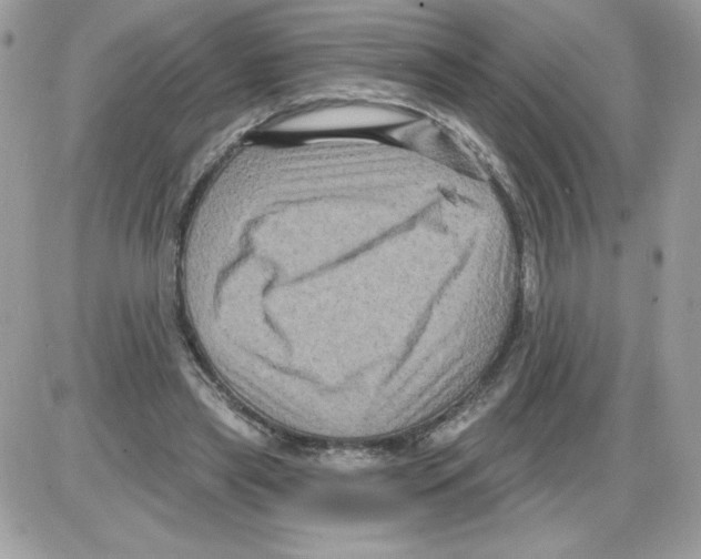 X0000085820445200704132016