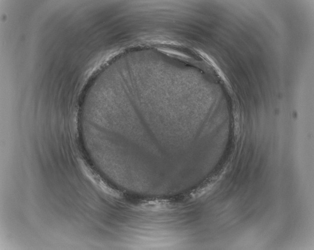 X0000085820447200704132016
