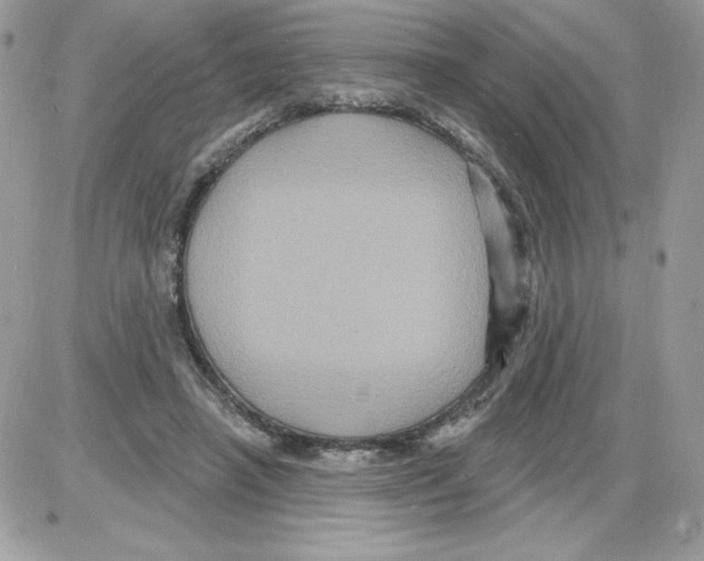 X0000085820450200704132016