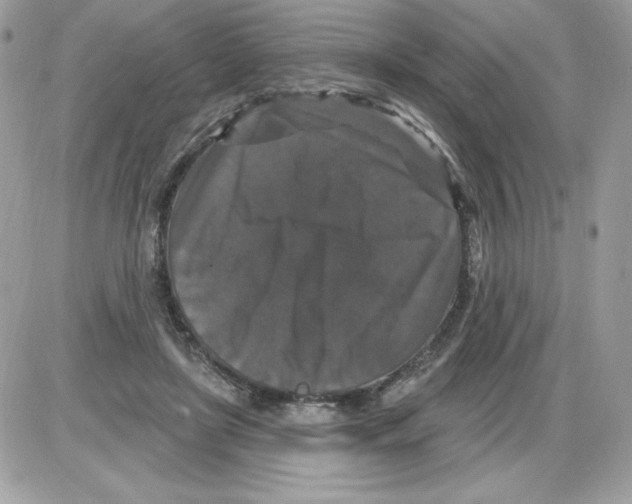 X0000085820451200704132016