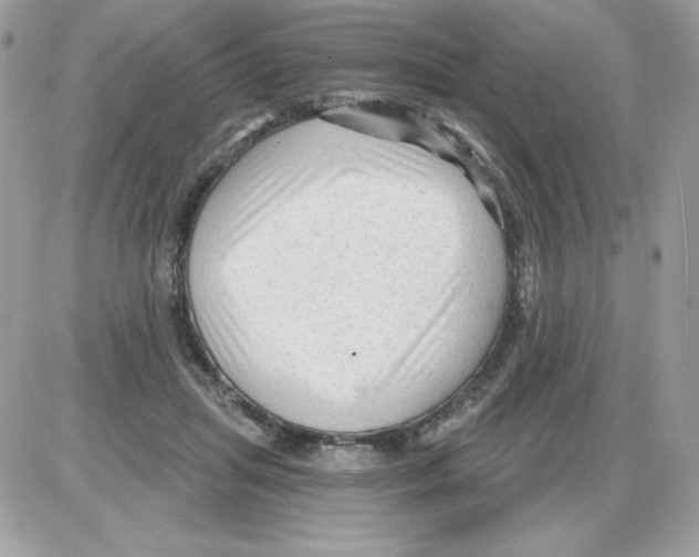 X0000085820455200704132016
