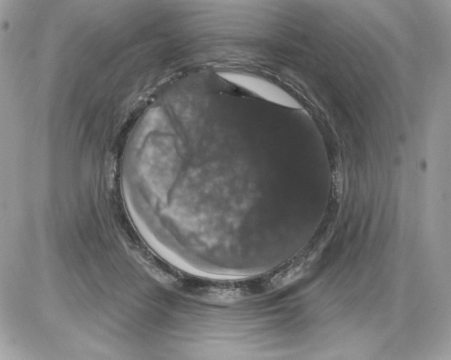 X0000085820458200704132016