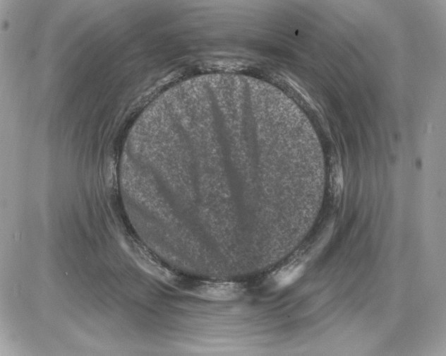 X0000085820459200704132016