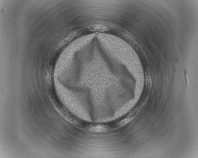 X0000085820460200704132016