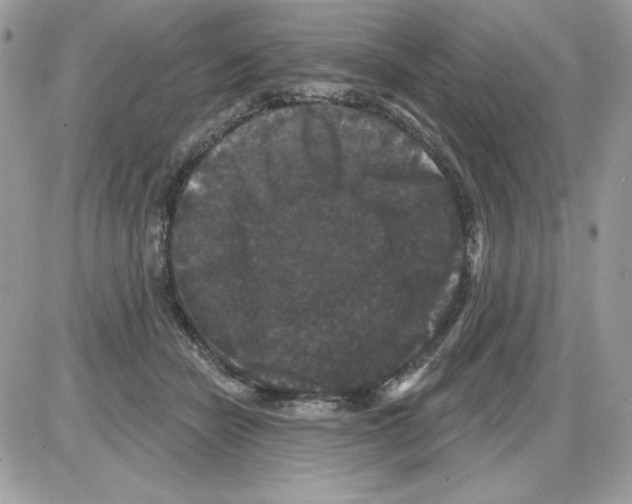 X0000085820462200704132016