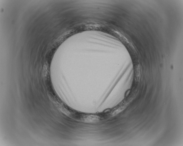 X0000085820463200704132016