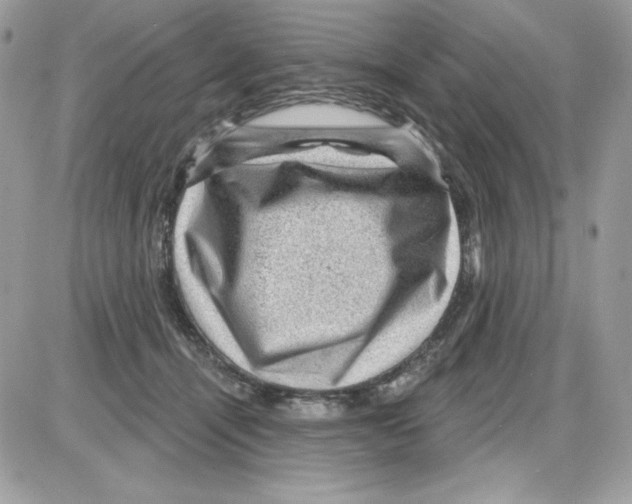 X0000085820464200704132016