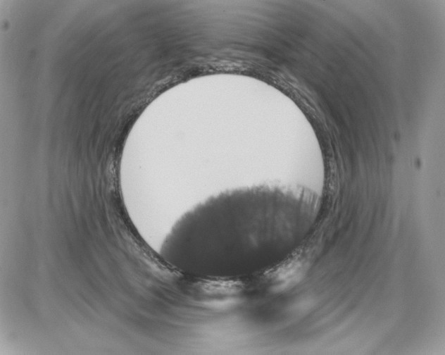X0000085820465200704132016