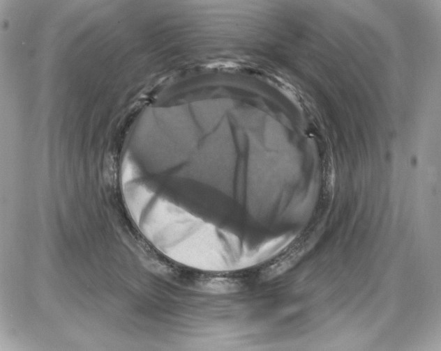 X0000085820467200704132016