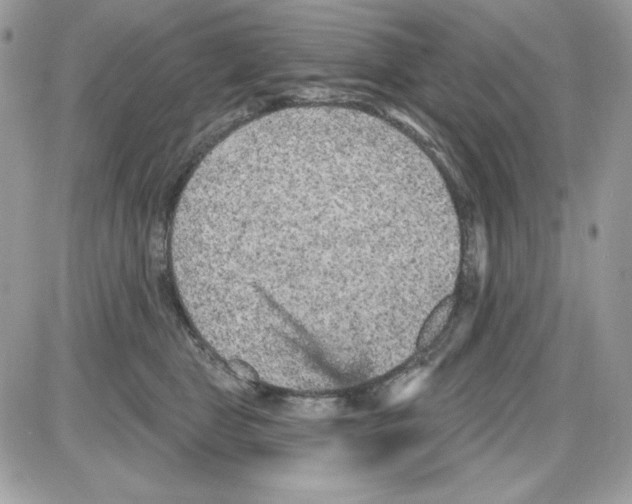 X0000085820469200704132016