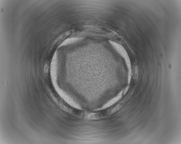 X0000085820472200704132016